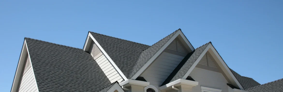 Protect Your Home with Flat Roofing Near Me and Roof Replacement Near Me Sub